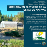 Estuvimos en la USINA de NATIVAS